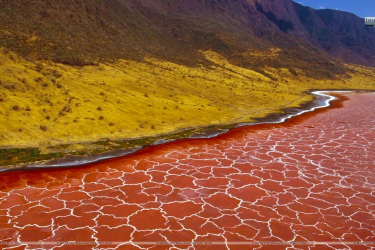 Aneh dan Asing, Tempat di Belahan Bumi Ini Cocok Banget Jadi Sarang Alien