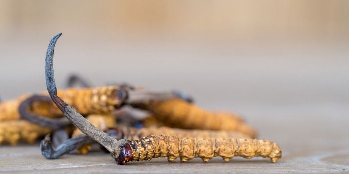 Xotin uchlikka qarshi