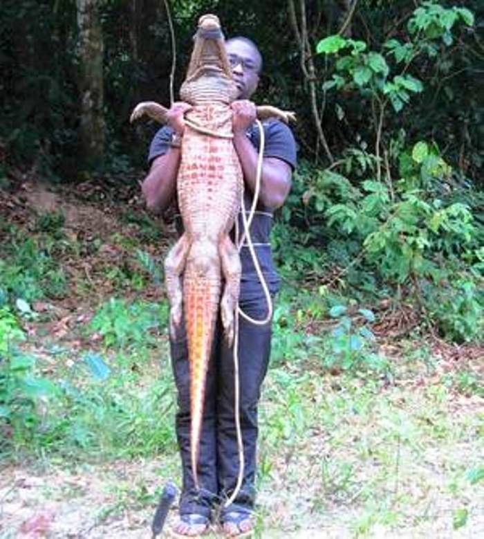 Oyoqlar orasidagi chiroyli mushuklar Brunettalar porno rasmlar. Galereyani korib chiqing.