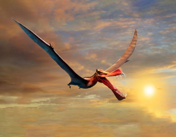 Qizlarga nima koproq yoqadi: jinsiy aloqa yoki kunnilingus?