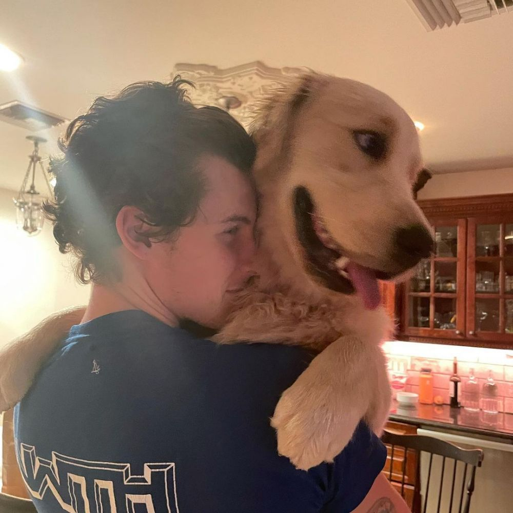 Shawn Mendes dan Tarzan
