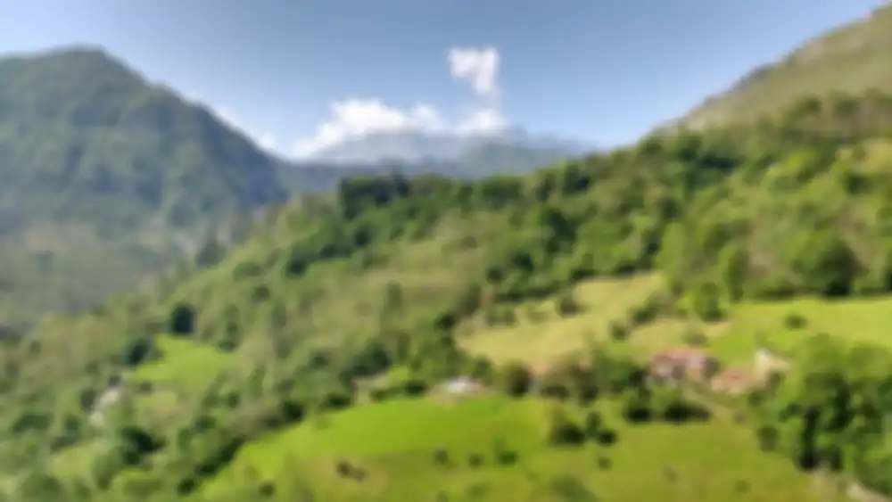 Ponga, Spanyol