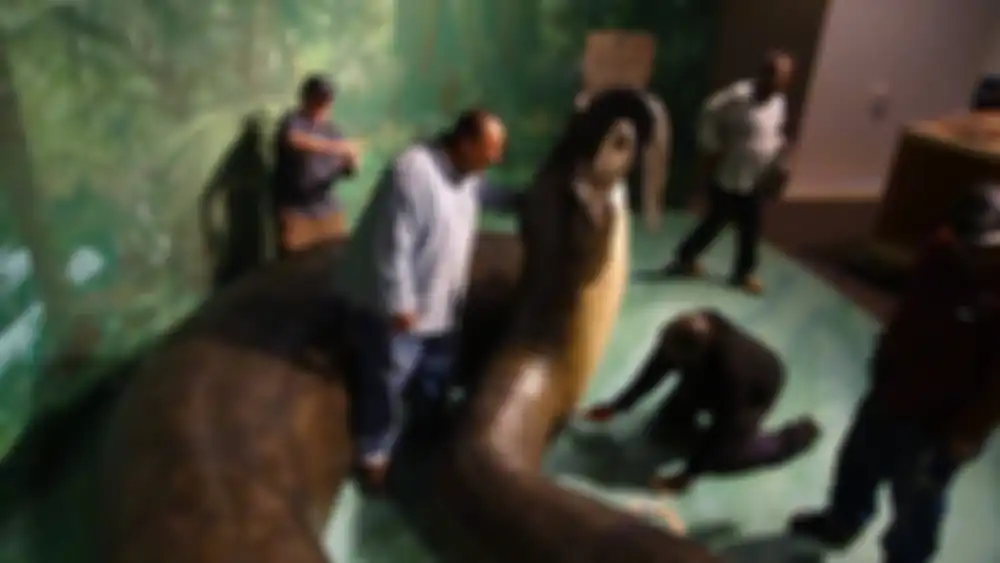 Coba bandingin deh ukuran ular Titanoboa dengan manusia ini, sob.