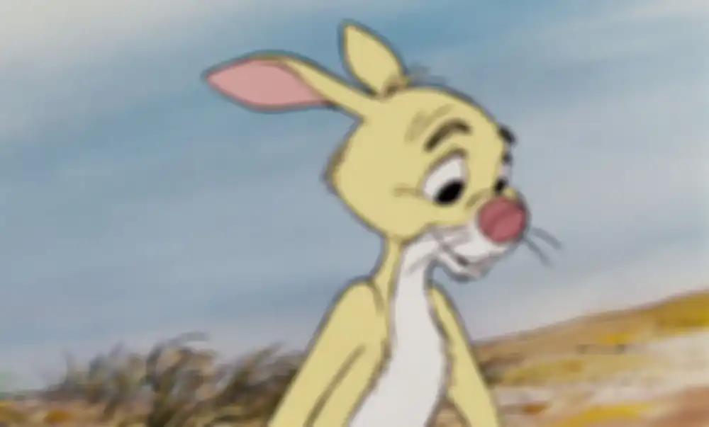 Rabbit