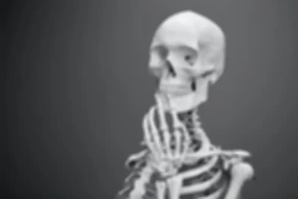 Ilustrasi tulang manusia. Ini jawaban fungsi masing-masing tulang pada organ gerak manusia, soal kelas 5 SD tema 1. 