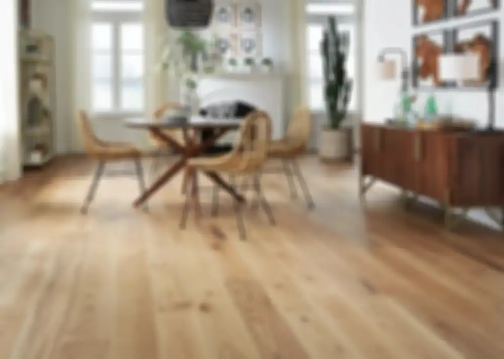 Jamur di Furnitur Kayu Susah Hilang Walau Sudah Digosok Sampai Capek? Ternyata Cukup Siapkan Cairan Pemutih 