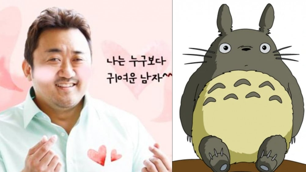Ma Dong Suk dan Totoro