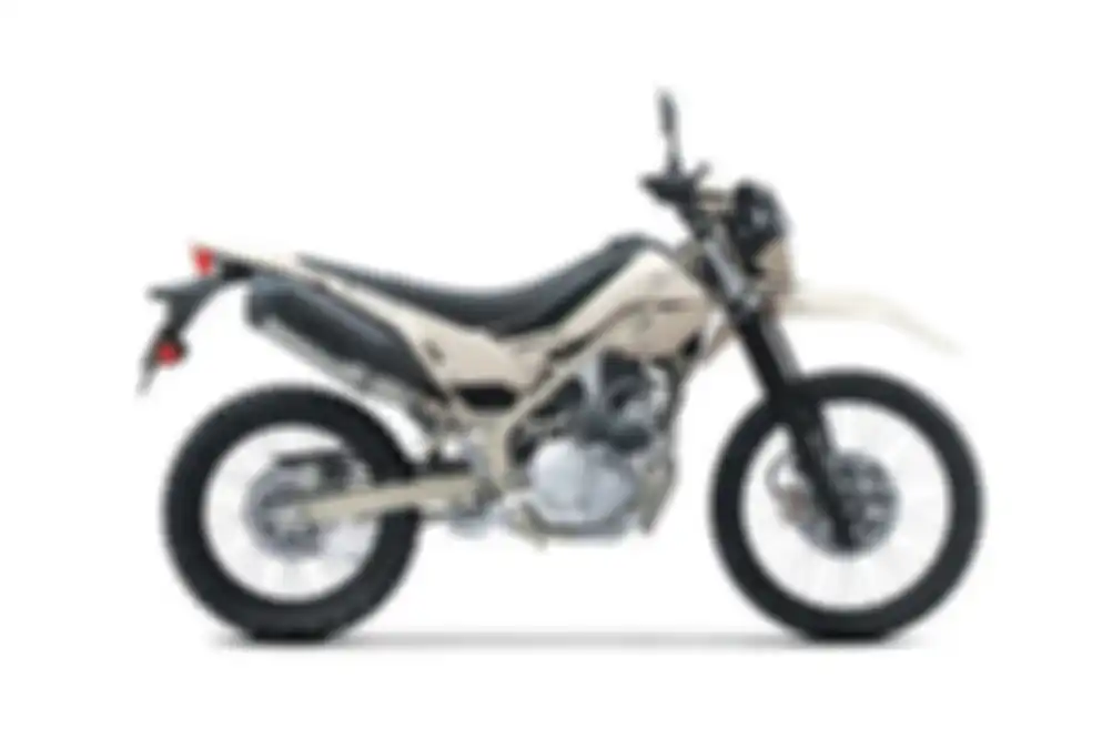 Kawasaki KLX230 Sherpa.