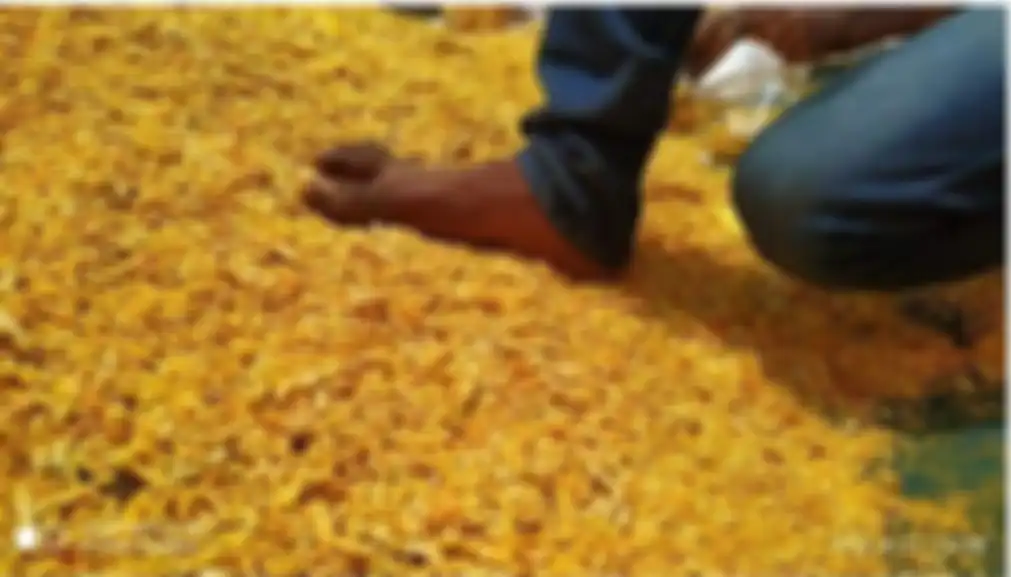 Pengemasan snack