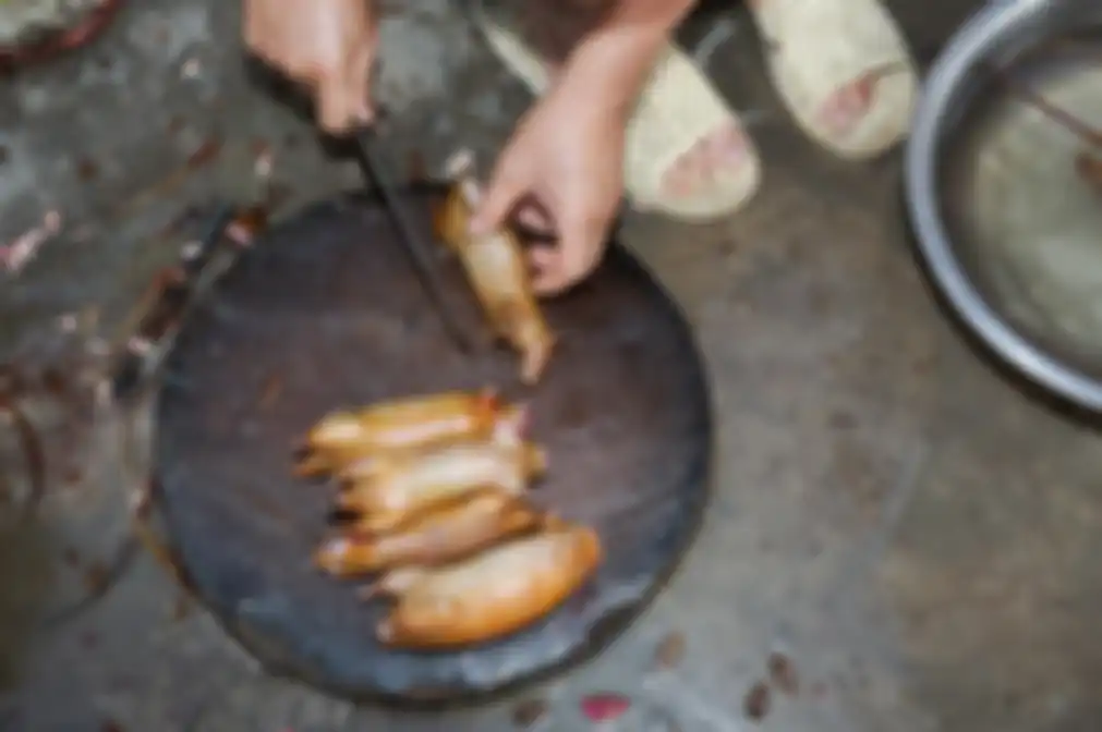 Konsumsi daging tikus