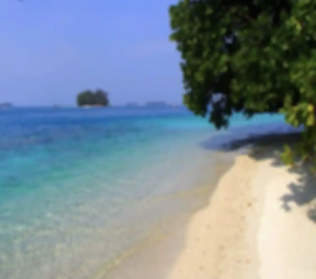 Jika ingin pelesir di Ibu Kota Indonesia, kunjungi yuk 7 tempat wisata di Jakarta yang cocok bikin foto aesthetic ala TikTok. 