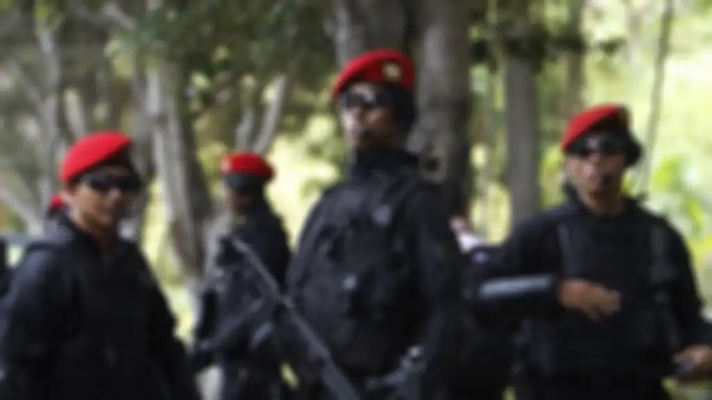 Prajurit Kopassus bersama Kostrad dan Yonif 500/R berhasil menewaskan 2 anggota KKB Papua di Ilaga, Kabupaten Puncak.