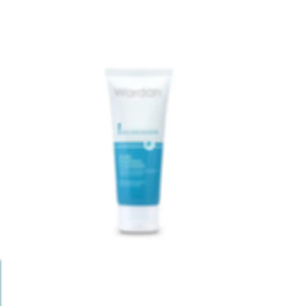 Wardah Acnederm Pure Foaming Cleanser