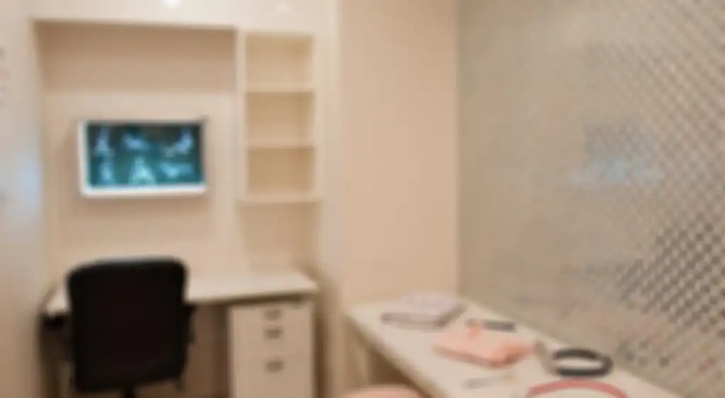JAPANS SECRETIVE LOVE HOTELS