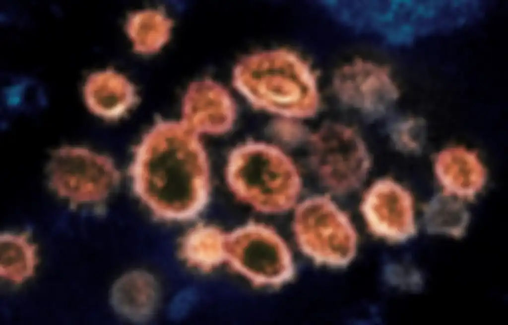 Ilustrasi varian baru mutasi ganda virus Corona B.1.617