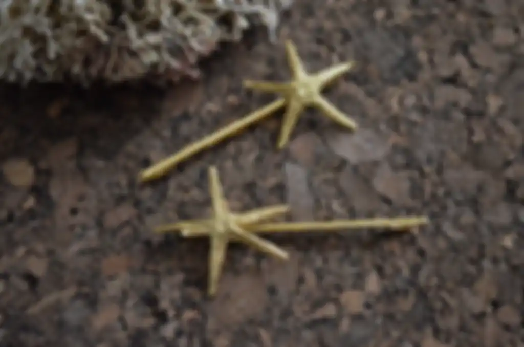 starfish bobby pin
