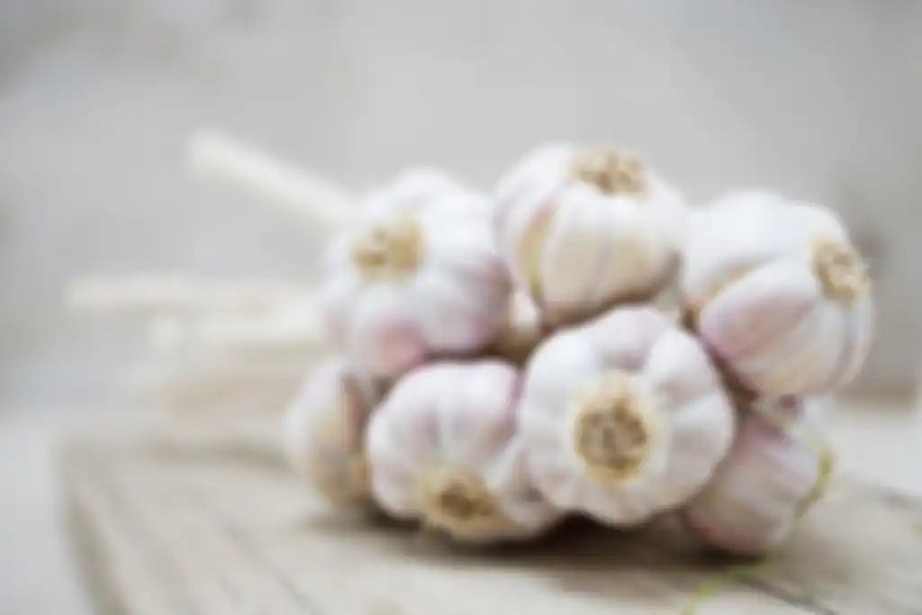 Bawang Putih