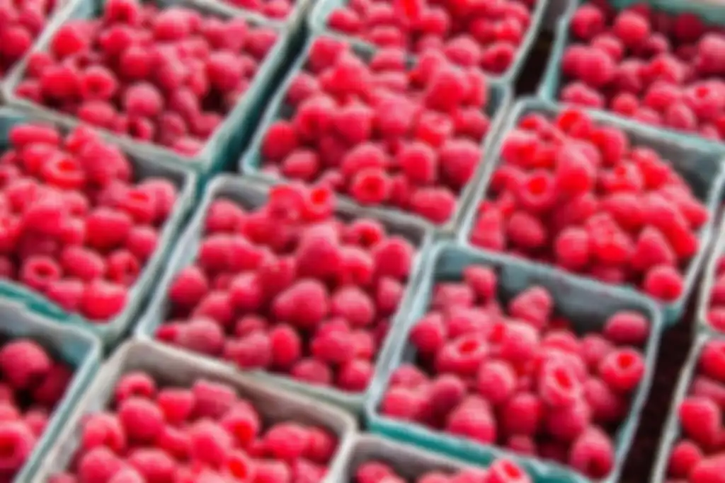 raspberry