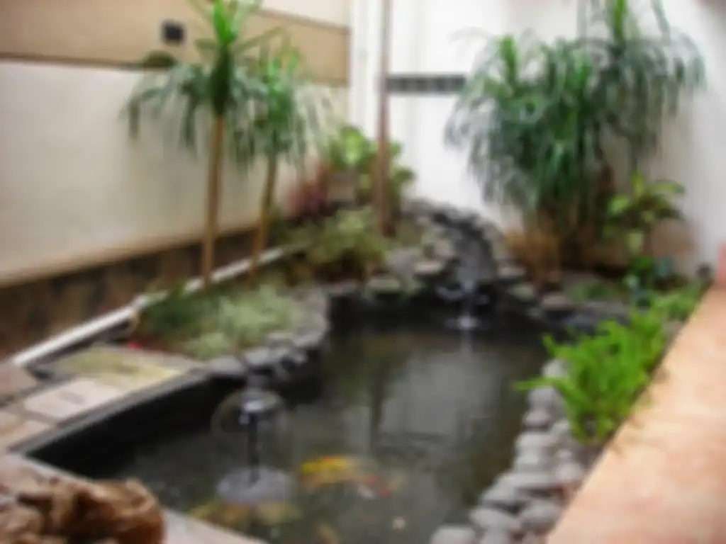 Inspirasi taman kolam air.