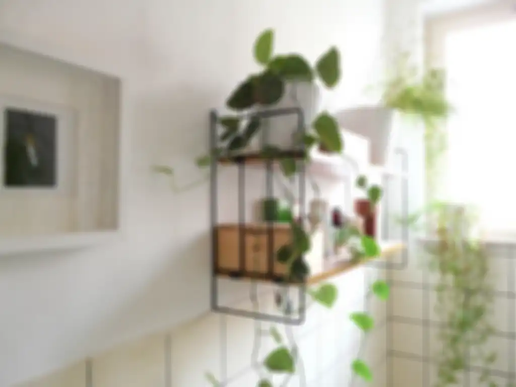 tanaman di dapur | dok. cdn.homedit.com