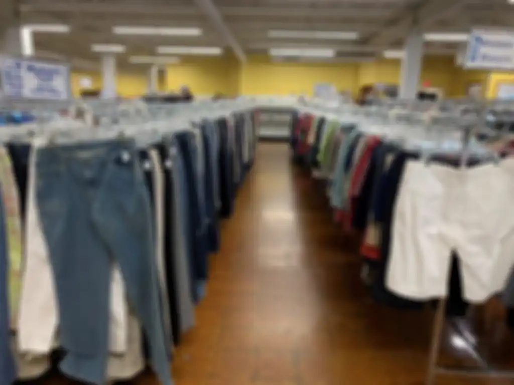 Ilustrasi Thrifting