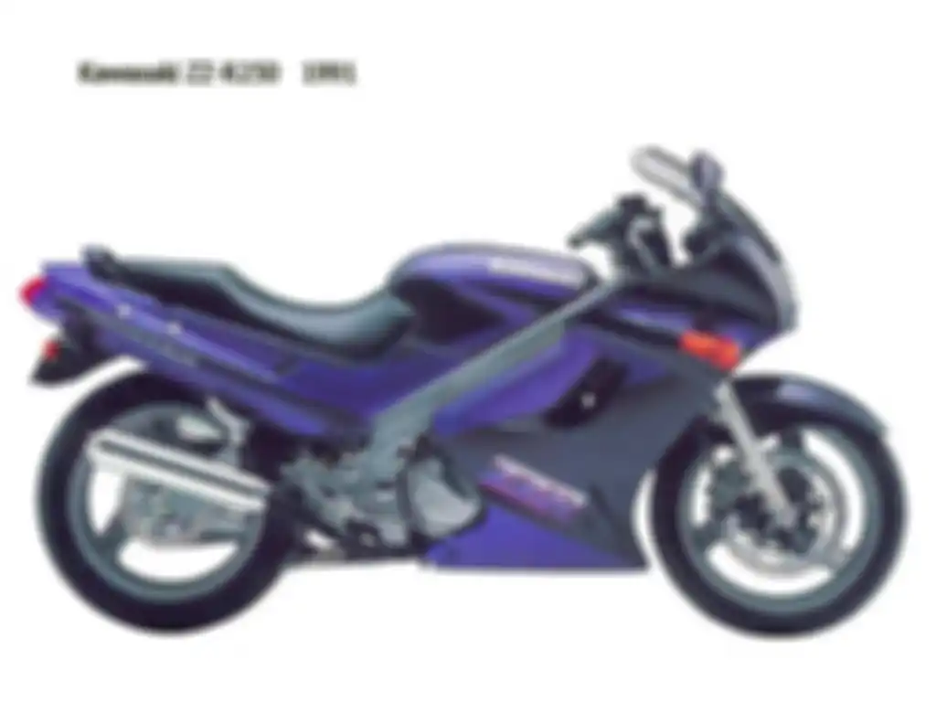 ZZR-250 EX250H