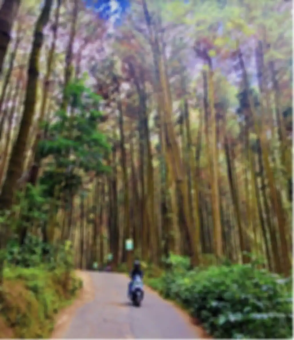 Inilah 5 foto aesthetic tempat wisata di Sentul yang lagi hits. Yakin kita nggak mau bikin sendiri di spot foto itu? 