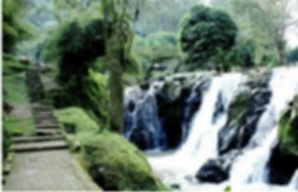 Jangan pergi jauh-jauh dari Jakarta. Ternyata ini 9 tempat wisata di Bogor yang cocok buat dapat foto aesthetic ala selebgram. 