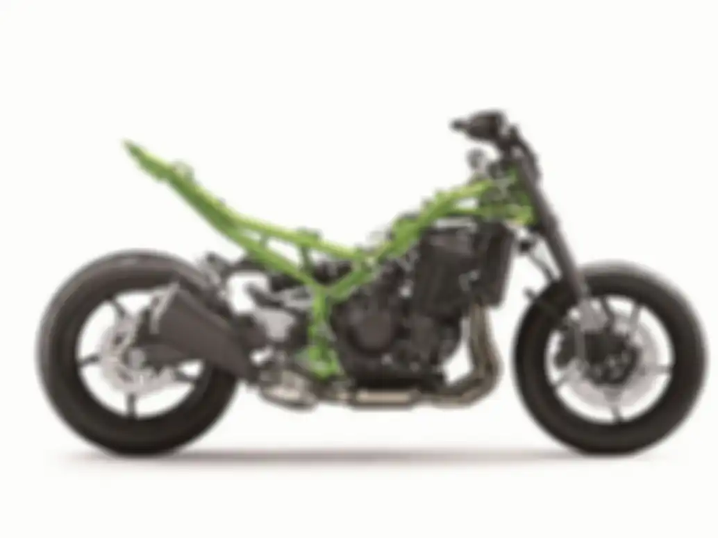 Frame Z900 2020