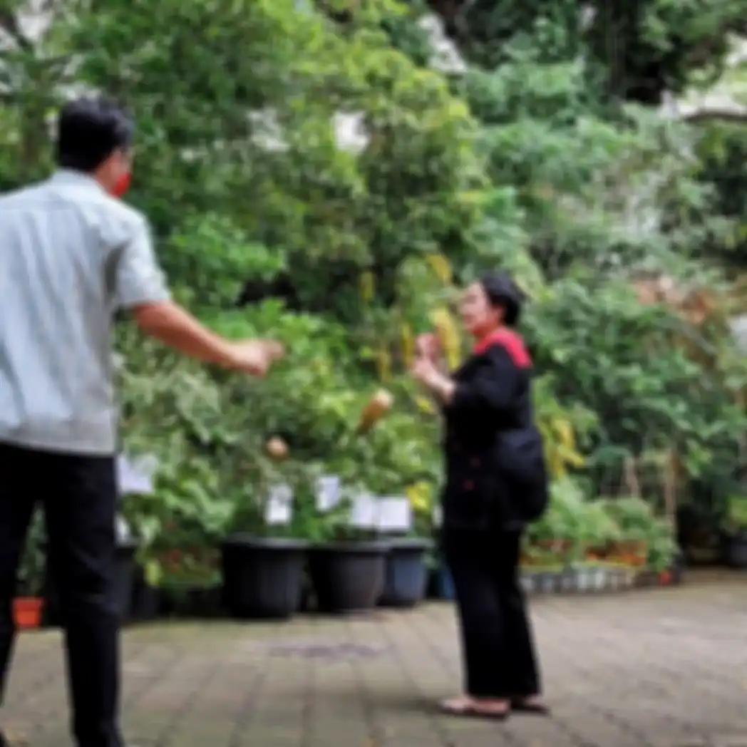 Foto Jokowi mencium tangan Megawati menuai kritik. Jokowi mengatakan, tidak ada yang istimewa dari aksinya mencium tangan Megawati.