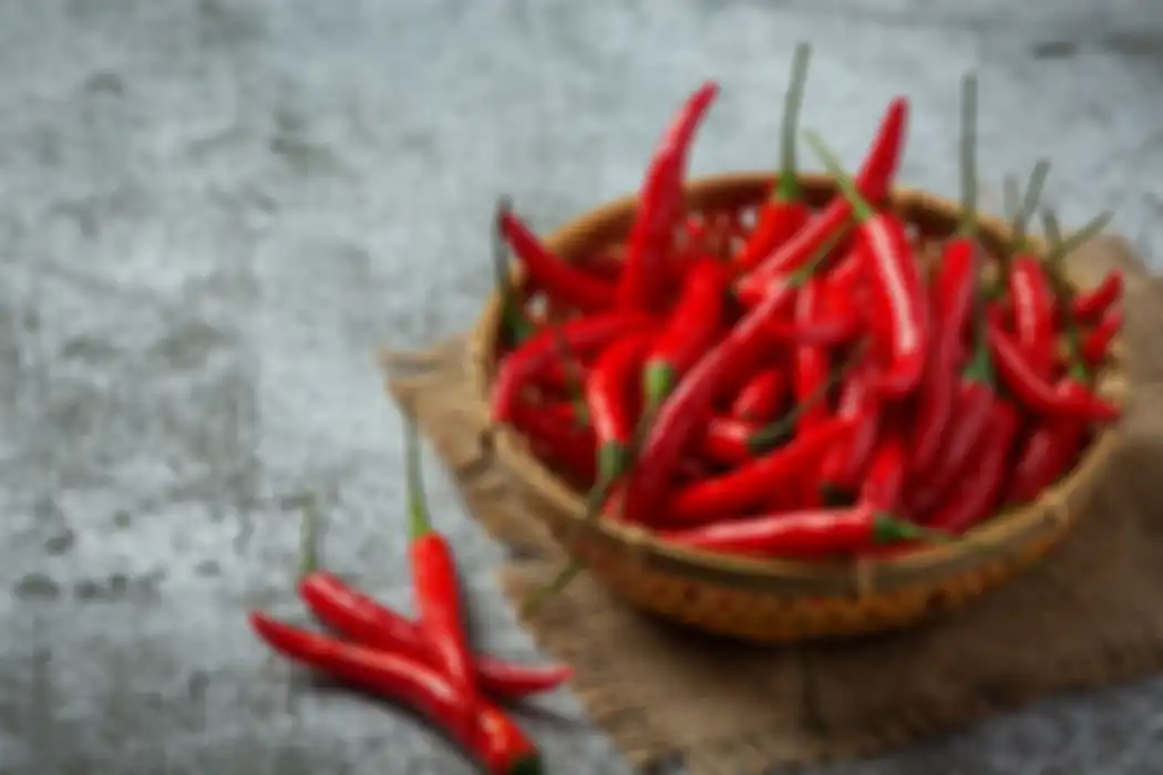 makanan pedas