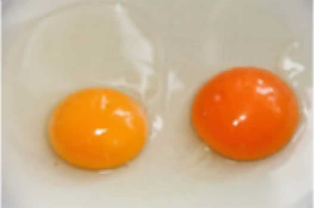 Ada resep kue yang hanya menggunakan putih telur atau kuning telur saja