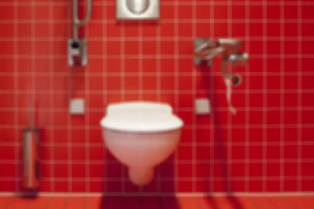 Ada apa saja di toilet duduk dan jongkok?  