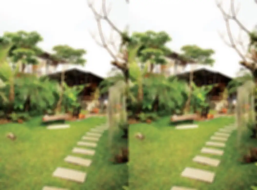 Taman Basah terkesan hijau, segar, dan subur, menghidupkan suasana rumah.