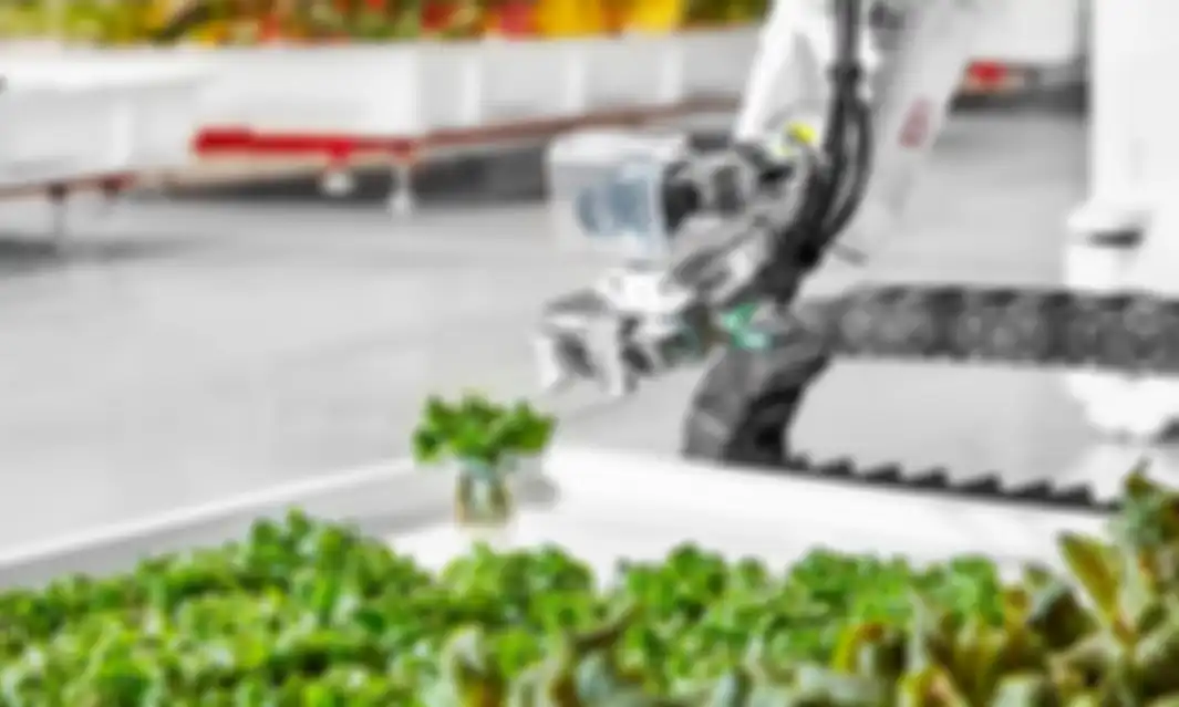 Robot yang merawat tanaman di Iron Ox