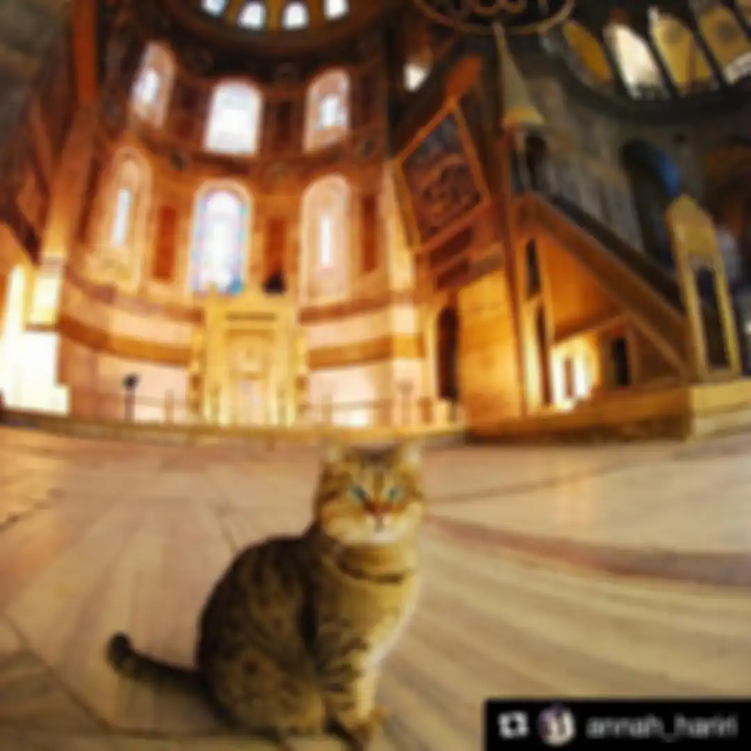 pose Gli di bawah kubah Hagia Sophia