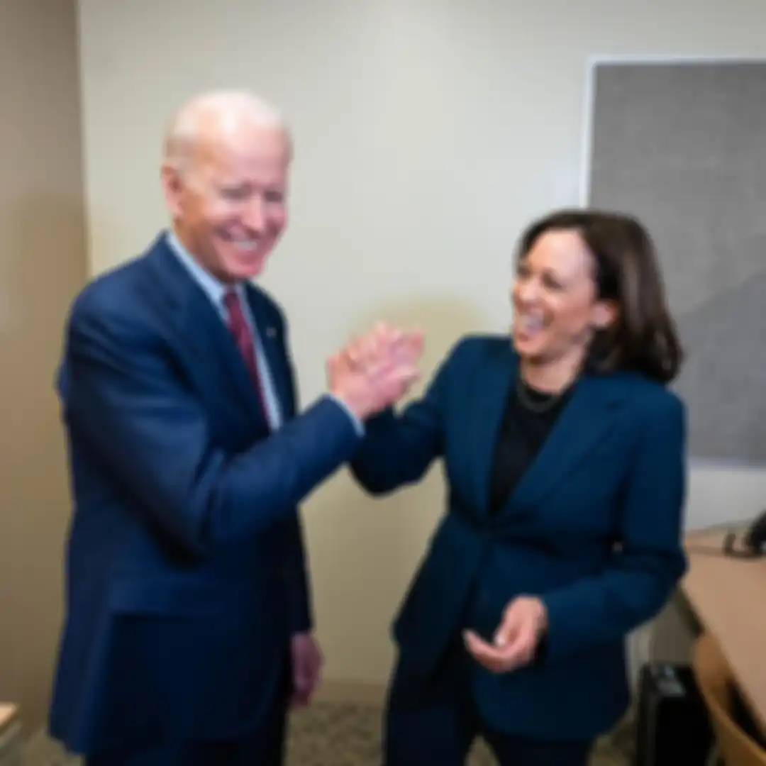 Kamala Haris wakil Presiden AS dampingi Joe Biden Presiden AS 