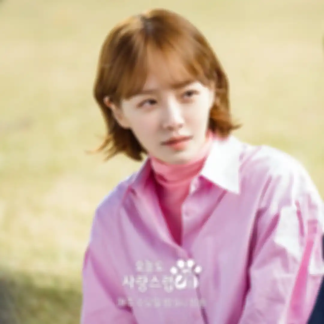 Drama Korea A Good Day to Be a Dog