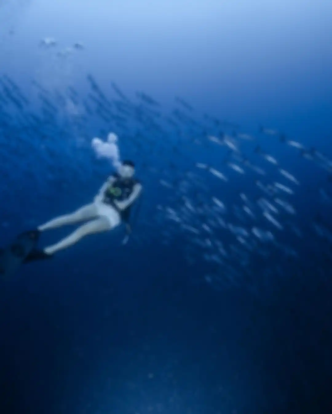 Gisel ketagihan memamerkan foto diving di akun Instagram miliknya. Bahkan, mantan istri Gading Marten rela memandam rindu pada sosok ini.