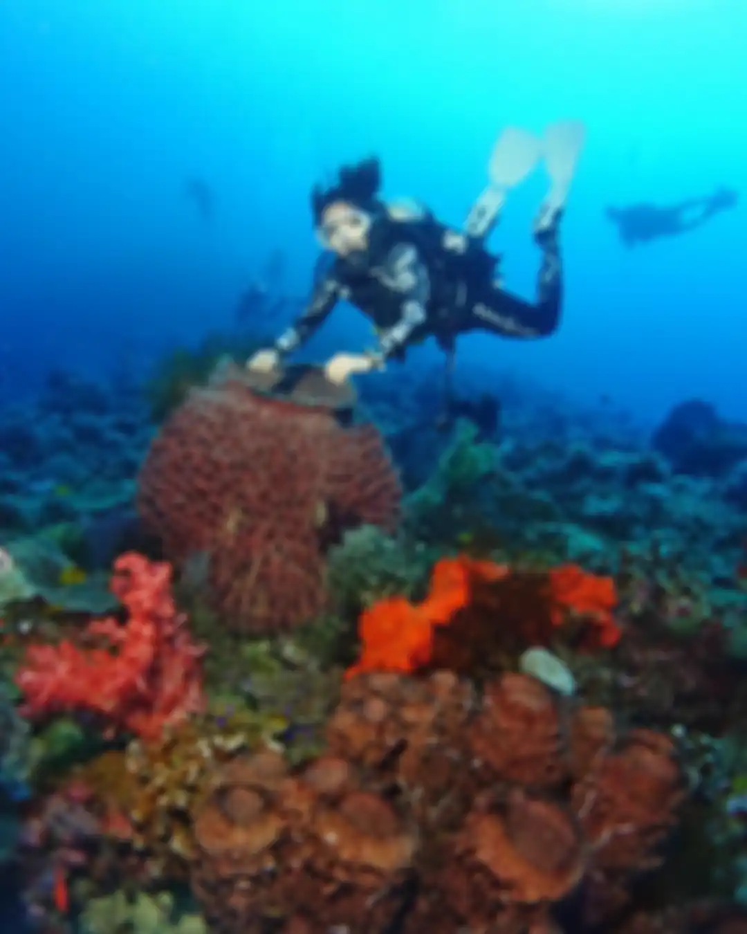 Gisel semakin sering pamer foto diving. Janda Gading Marten ketagihan berjumpa makhluk langka. Gisel pilih kabur dari rumah gegara sosok ini.