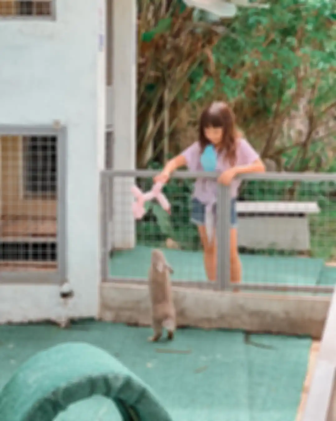 Gisel membuat laporan atas perubahan sikap Gempi kepada Gading Marten. Sayangnya, sang mantan suami hanya berkomentar begini. 
