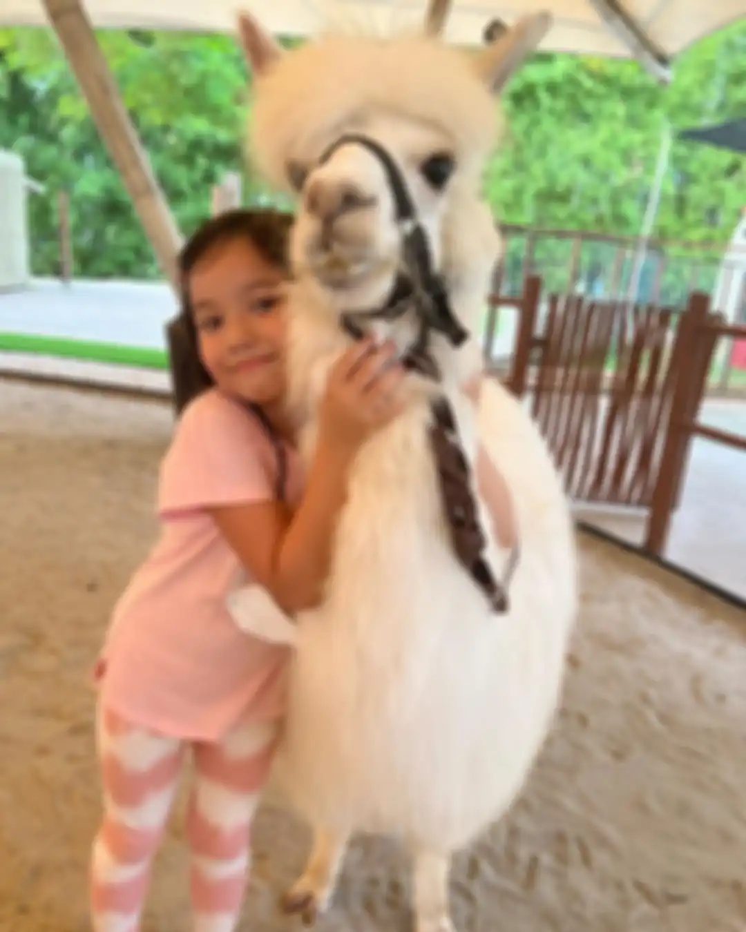 Gisel kegirangan melihat anaknya memeluk makhluk berbulu seperti domba sampai dua kali posting foto Gempi dengan pose begini.
