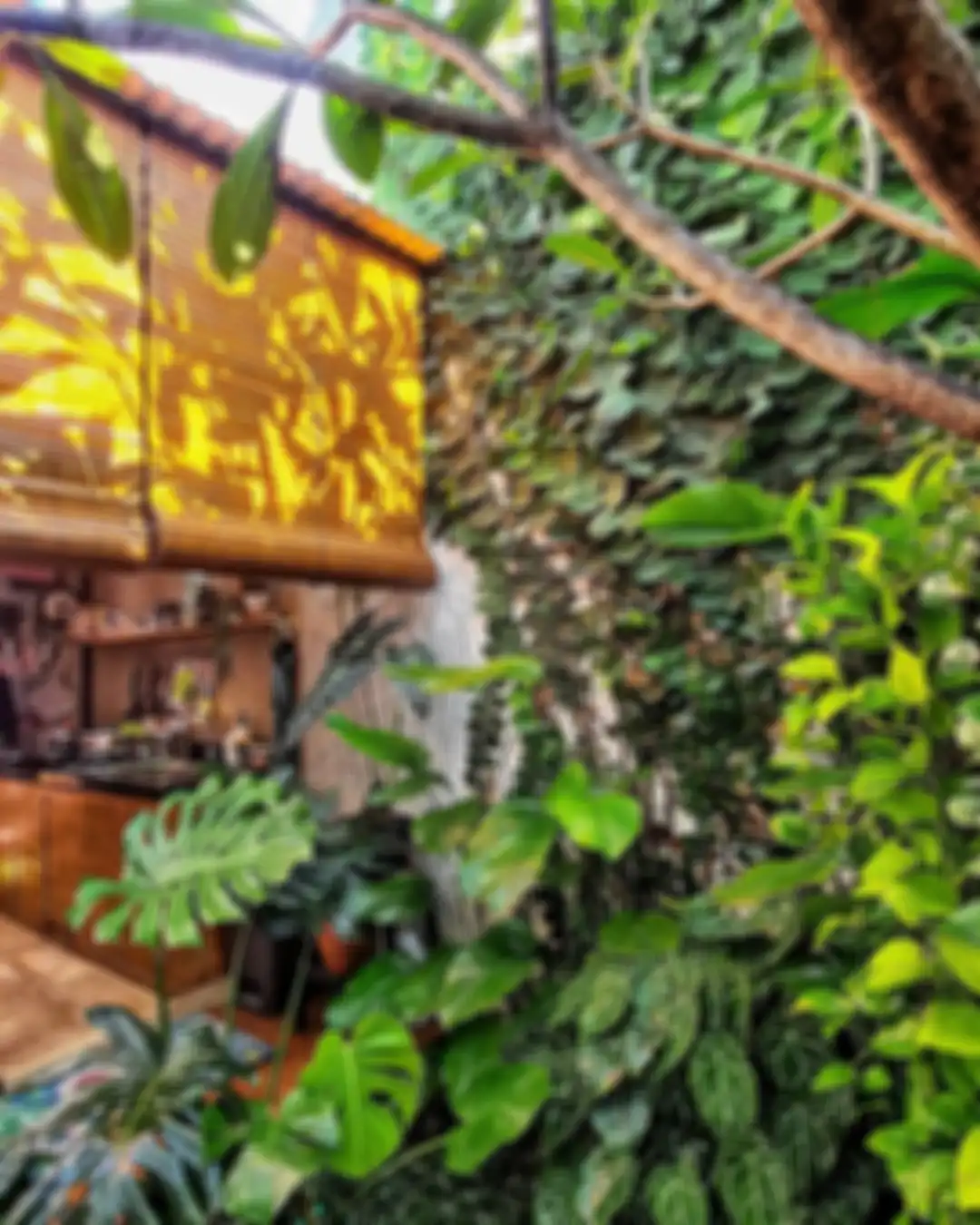 Desain dapur menyatu dengan ruang cuci yang dekorasinya penuh dengan tanaman segar jadi sorotan. Lihat foto hasil aplikasinya. 