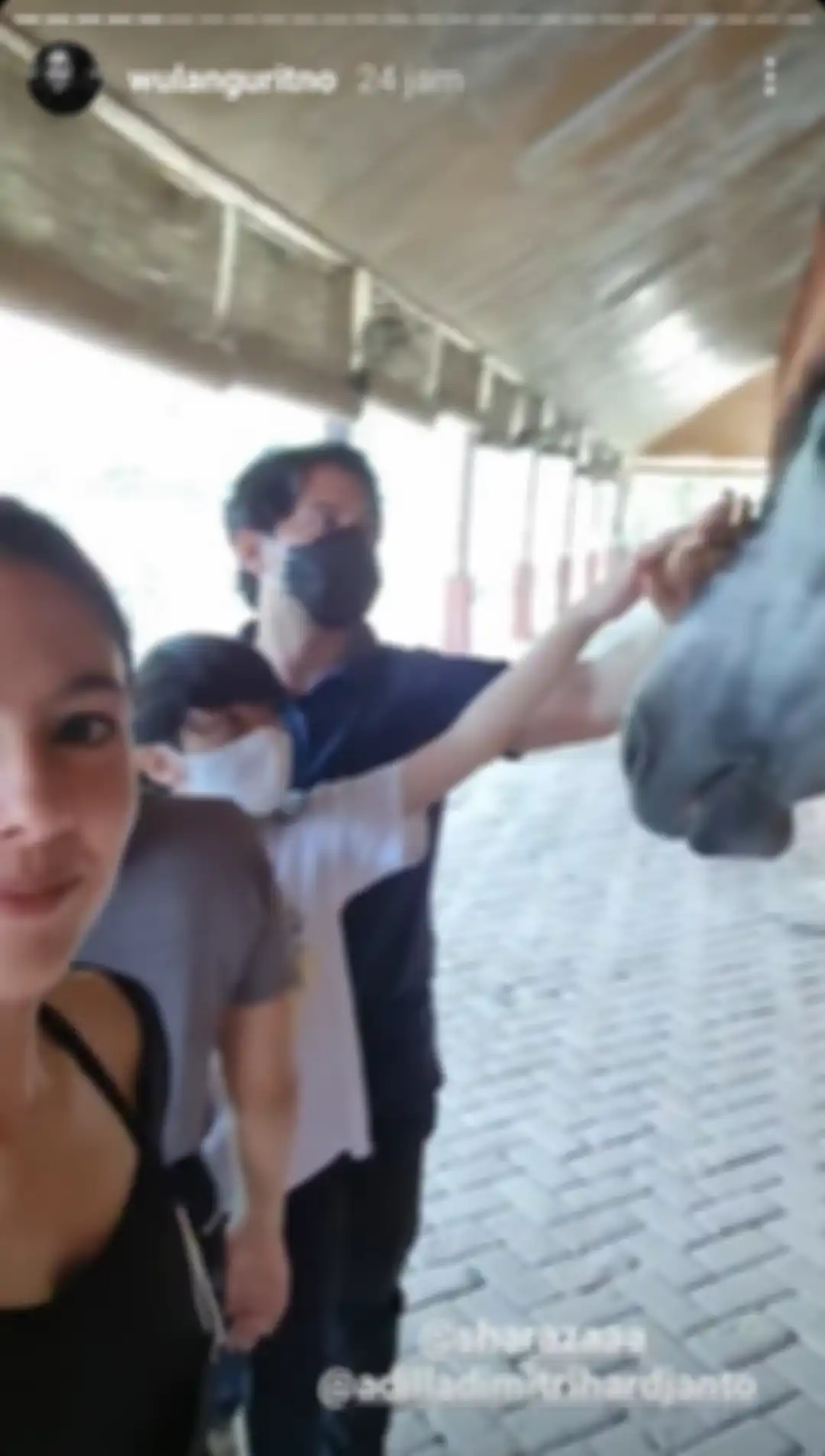 Wulan Guritno terlihat sedang menghabiskan waktu bersama Adilla Dimitri dan ketiga anaknya bermain kuda.