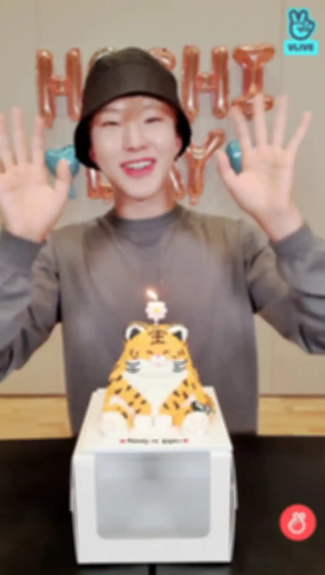 Hoshi SEVENTEEN ulang tahun