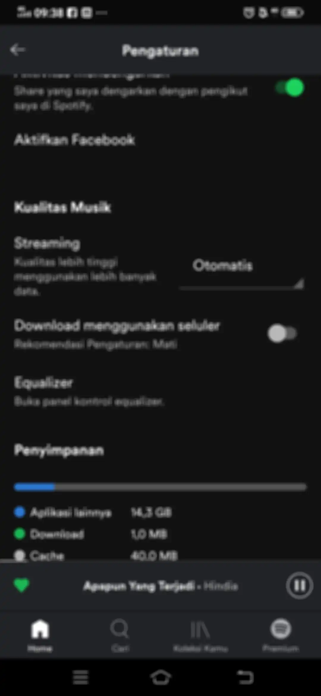 Alat equalizer di dalam pengaturan Spotify.
