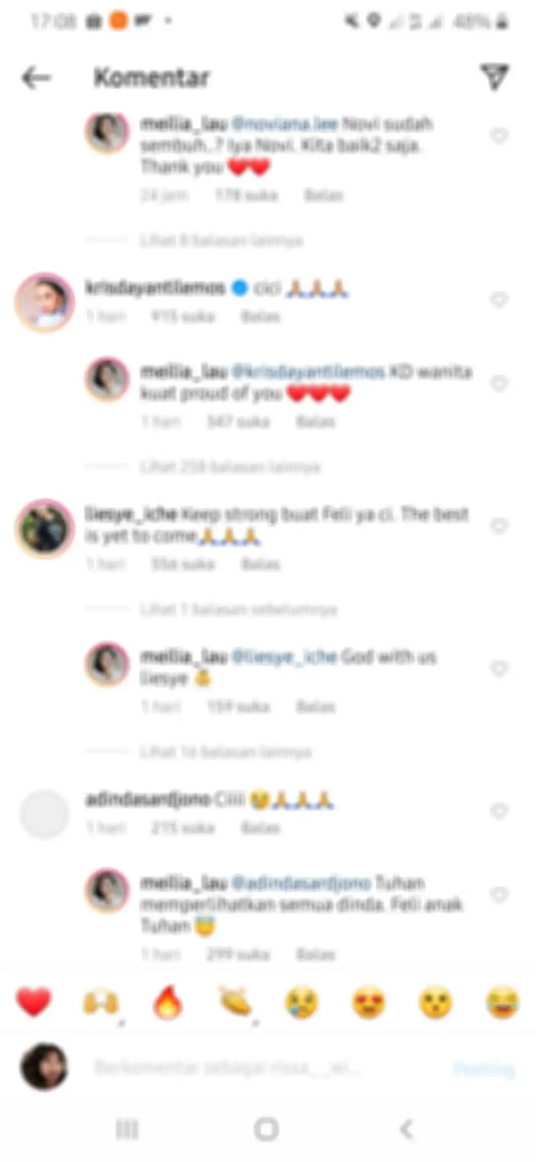 Krisdayanti menuliskan komentar memanggil Meilia Lau dengan sebutan kakak dalam bahasa Mandarin.