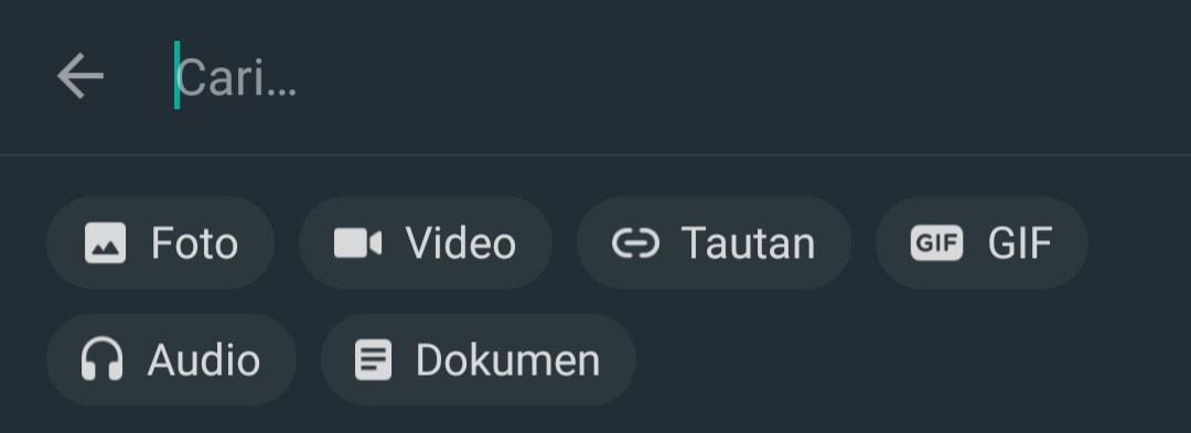Tampilan fitur pencarian terbaru di WhatsApp.