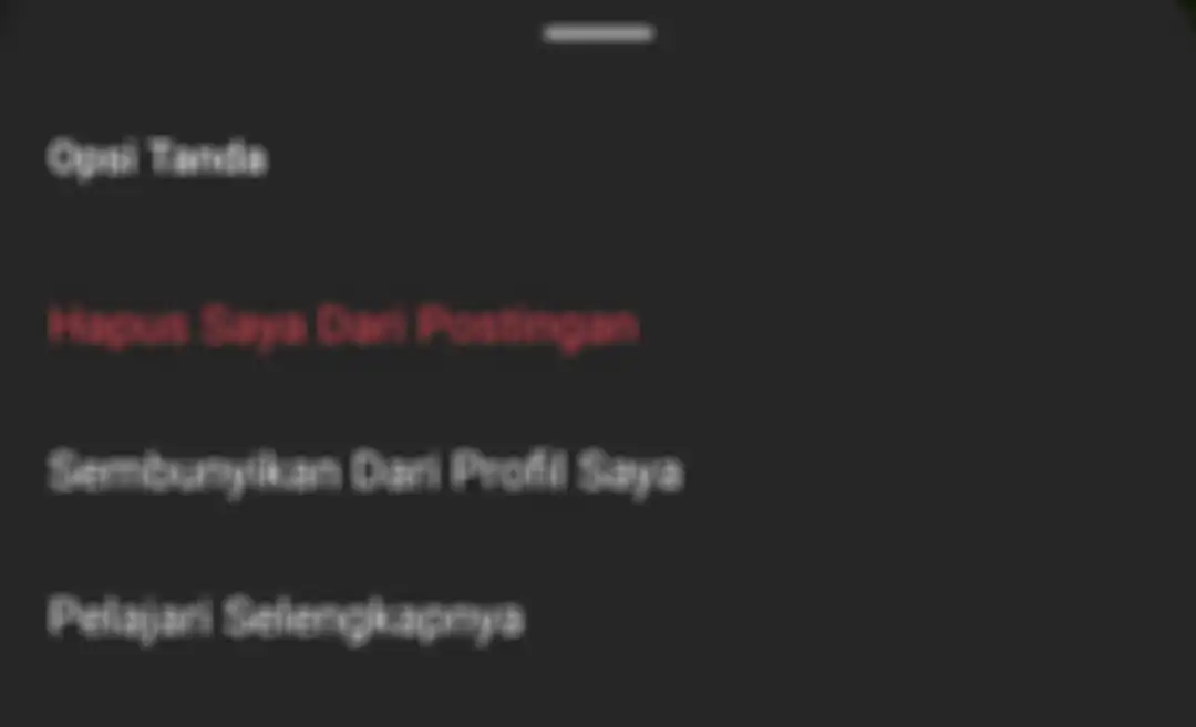 Opsi untuk menghapus tag Instagram dari orang lain