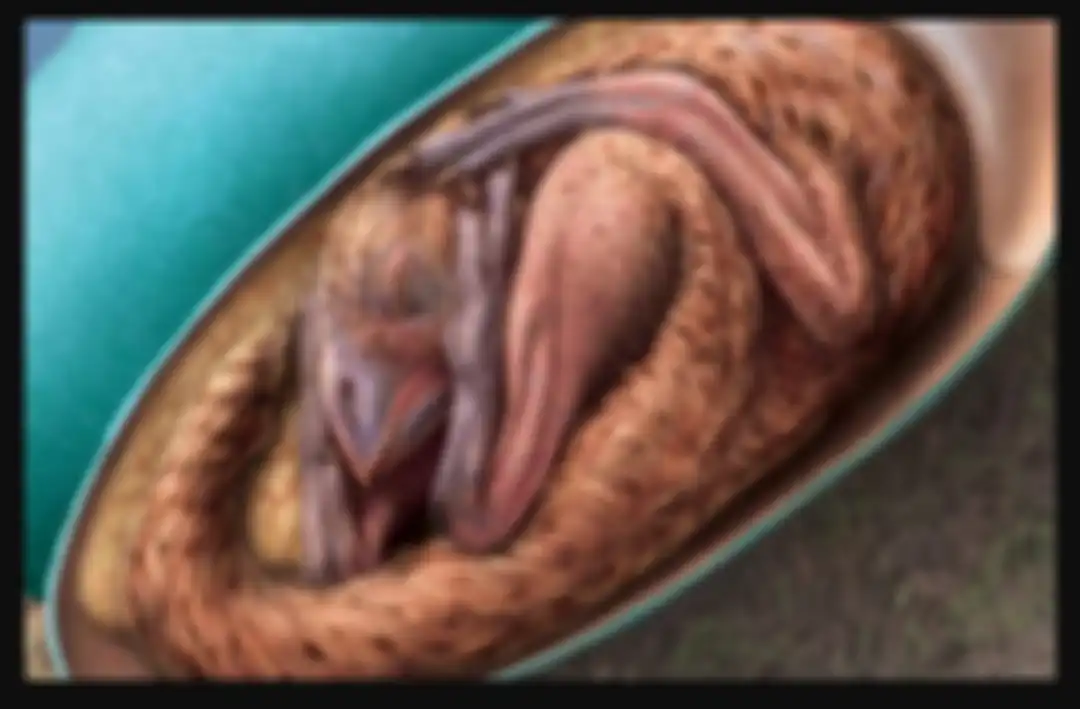 Fosil embrio dinosaurus